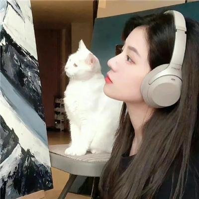 女王蜂游戏